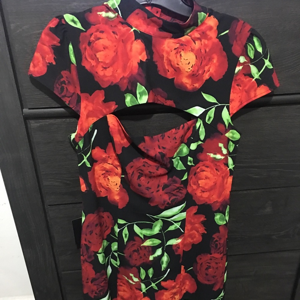 Bebe peekaboo dress